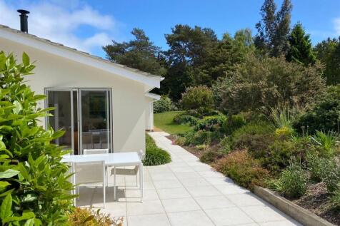 40621e82-b8db-43d5-8b72-3dee8616ce06 (1).jpg