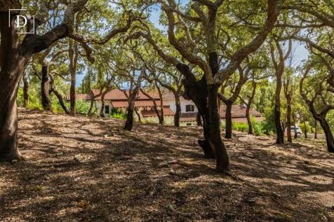 Property Image 66