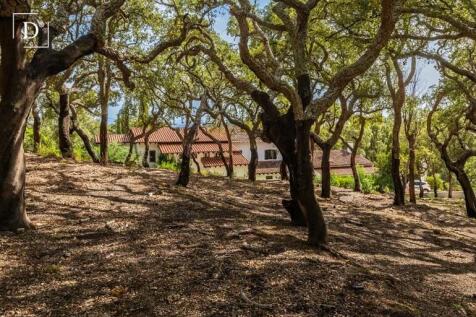 Property Image 66