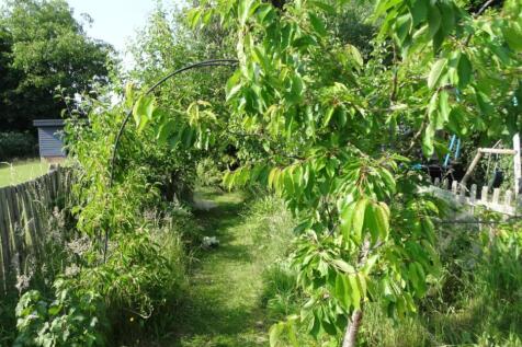 Property Image 22