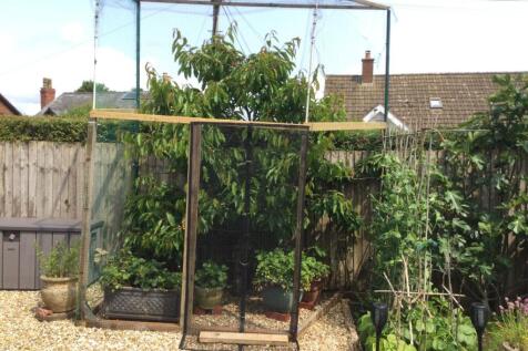 Property Image 36