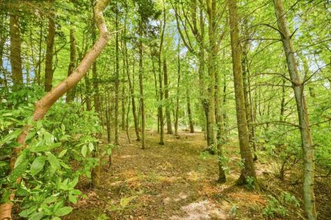 Property Image 39