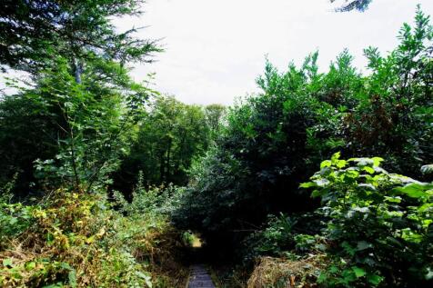 Property Image 35