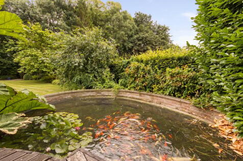 Property Image 45