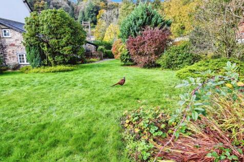 Property Image 31