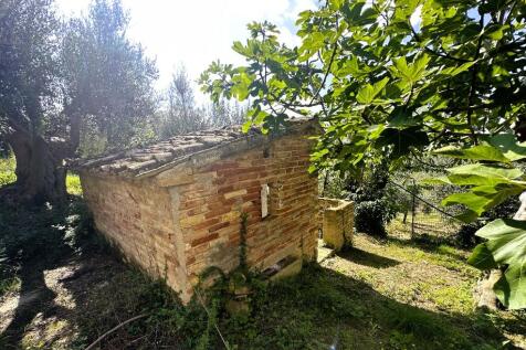 Property Image 34