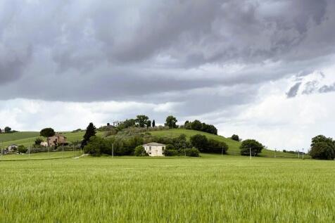 Property Image 39