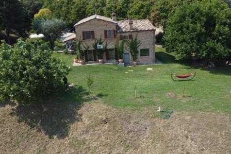 Property Image 43