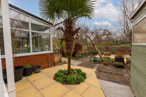 Garden 5