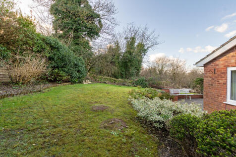 Garden 3