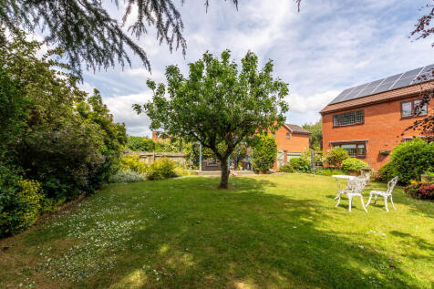 Garden 3 (3)