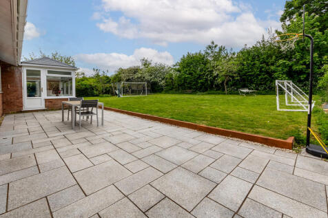 Back Garden 7