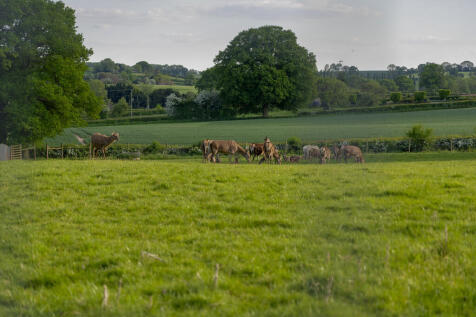 2025-Malvern View...