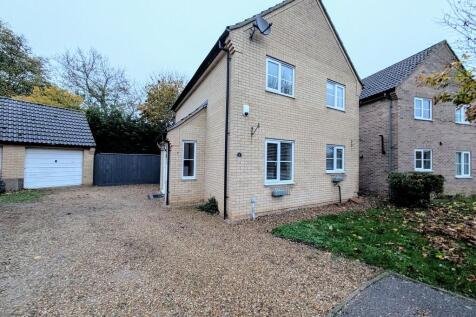 PXL_20251029_1636...