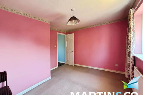 04e77a29-IMG-2025...