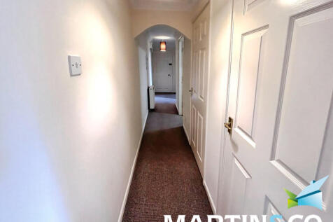 6141f5f5-IMG-2024...