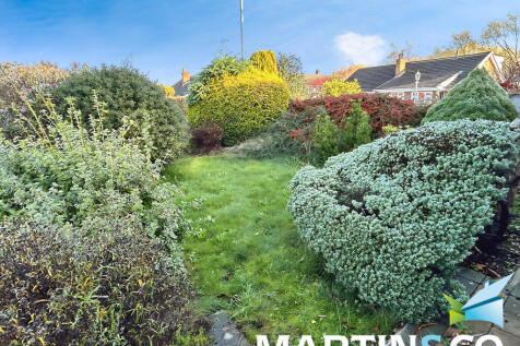 09c81981-IMG-2025...