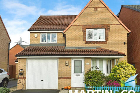 386b9628-IMG-2025...