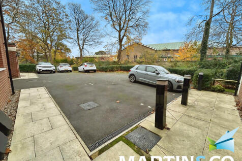 f393080b-IMG-2025...