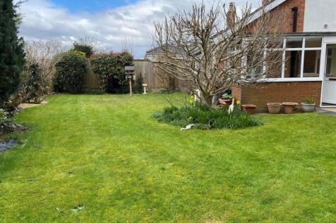 Garden 1.jpg
