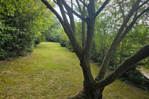 Rear Garden (16).jpg