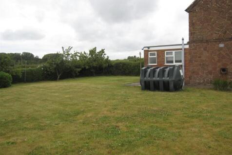 Garden 2.JPG