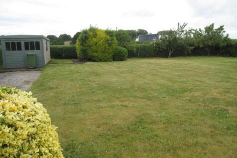 Garden.JPG