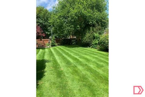 Garden  1