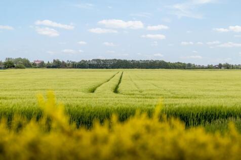 Seasons Watch (Pinchbeck)-18