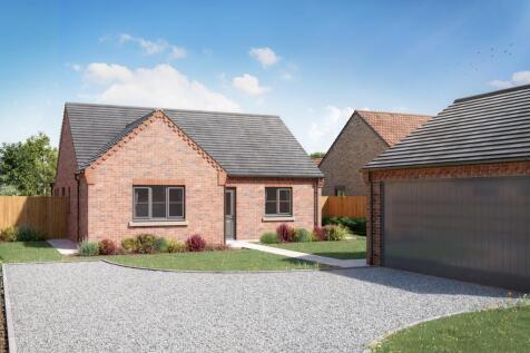 CGI - Plot 3 - Beech