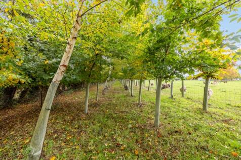 Greenfield Farm Cottages (Saracens Head)-39