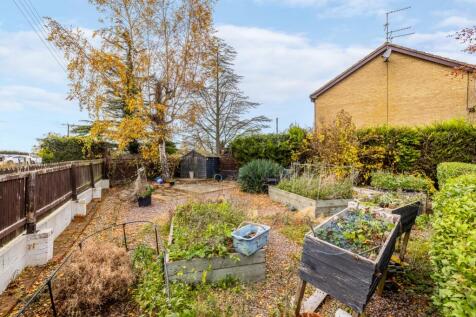 Obvallaris (Pinchbeck)-19