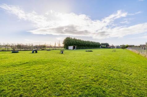 Pegasus (South Holland)-17