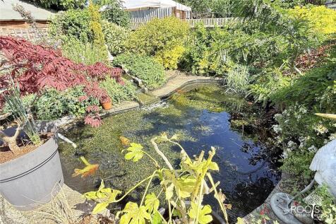 Pond
