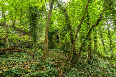 Property Image 16