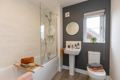 L-VISW-RIP.ripley-TIB-21-010