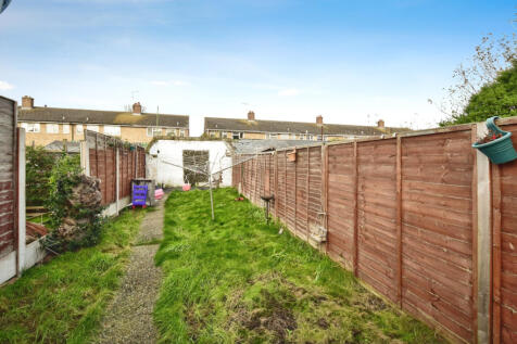 Back garden