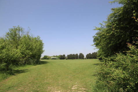 Adjacent Field