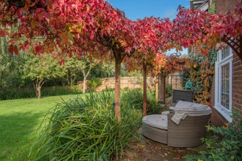 Property Image 42
