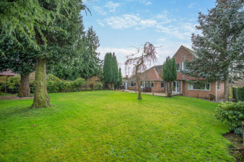 Property Image 33