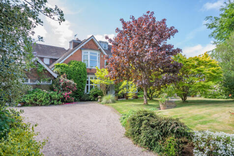 Property Image 44