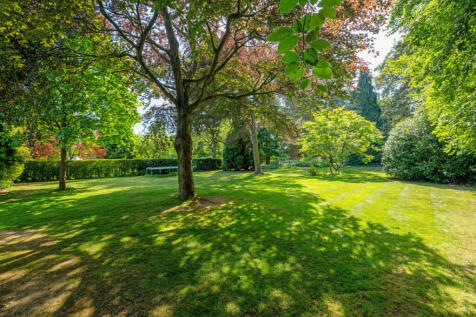 Property Image 46