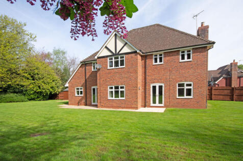 Property Image 41