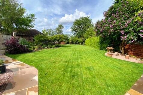 Garden photo 3.jpg
