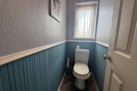 toilet may tree