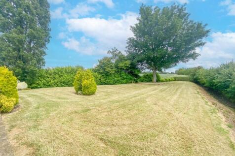 Grass