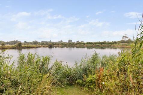 Pond View