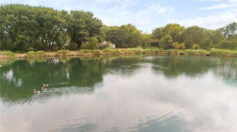 Pond View