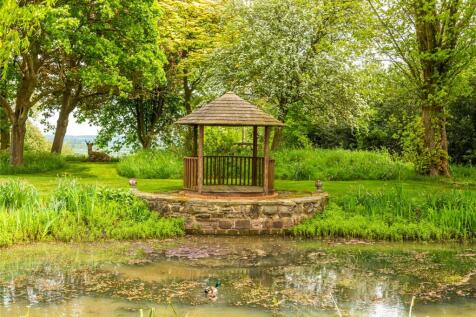 Pond