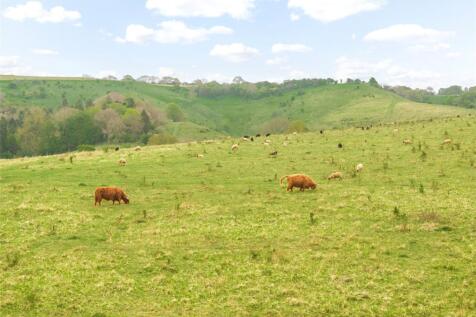 Fields